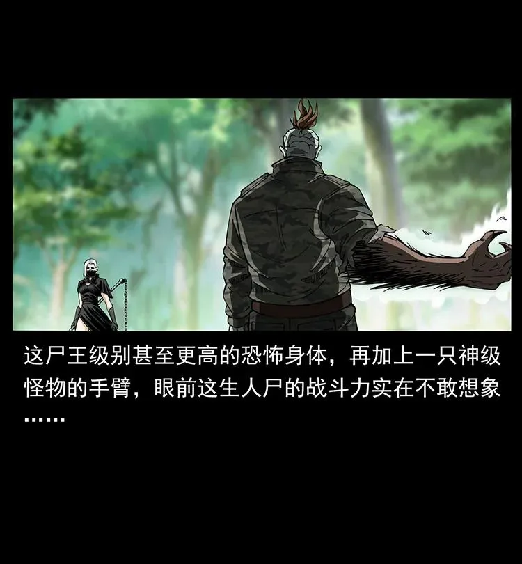 384 路障 第30页