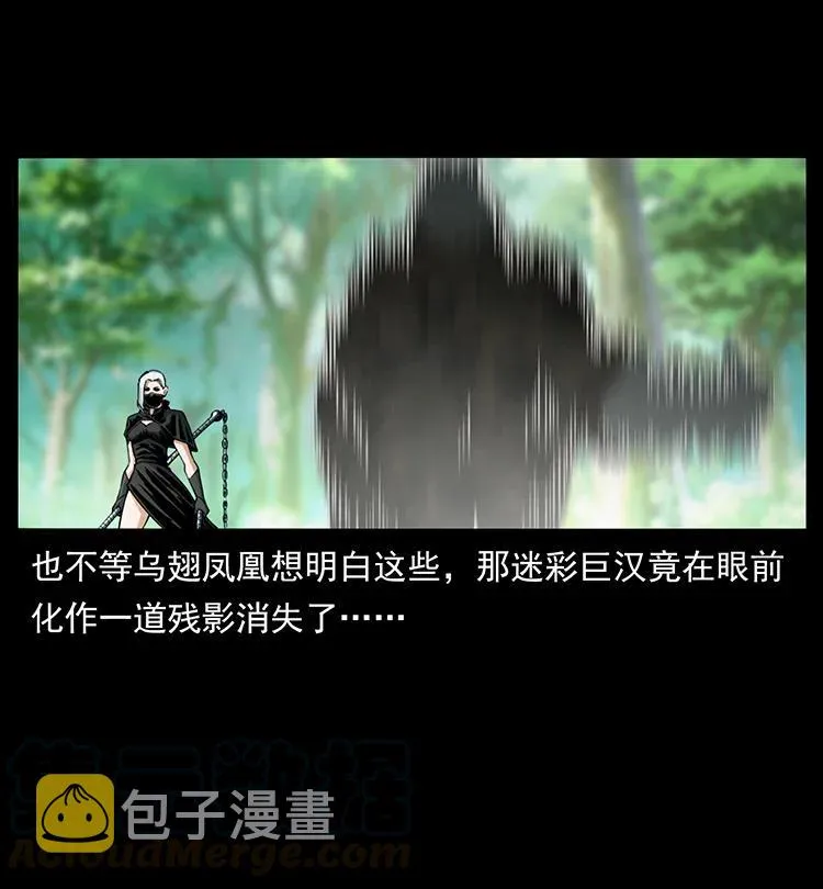 384 路障 第31页