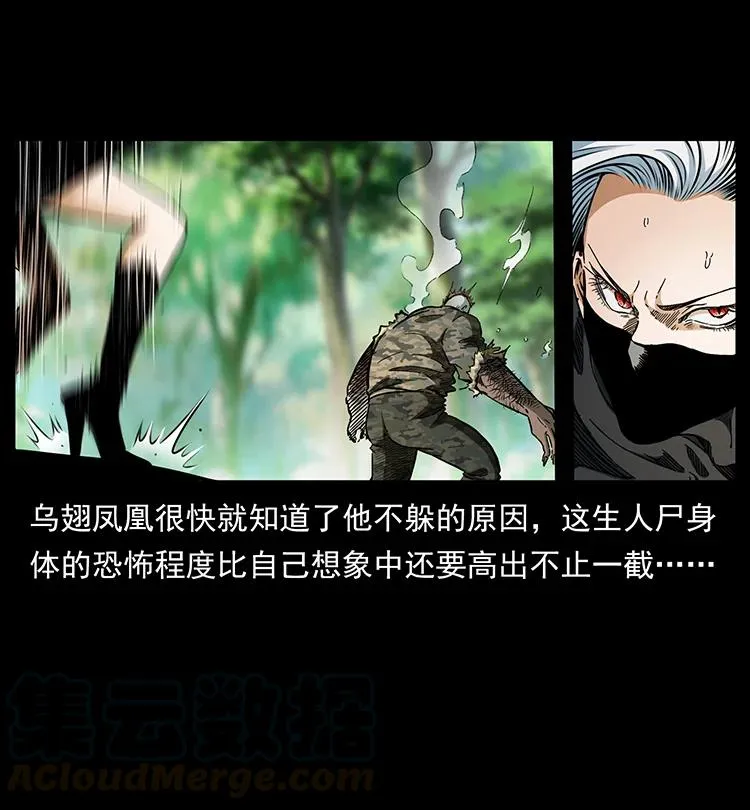 384 路障 第40页