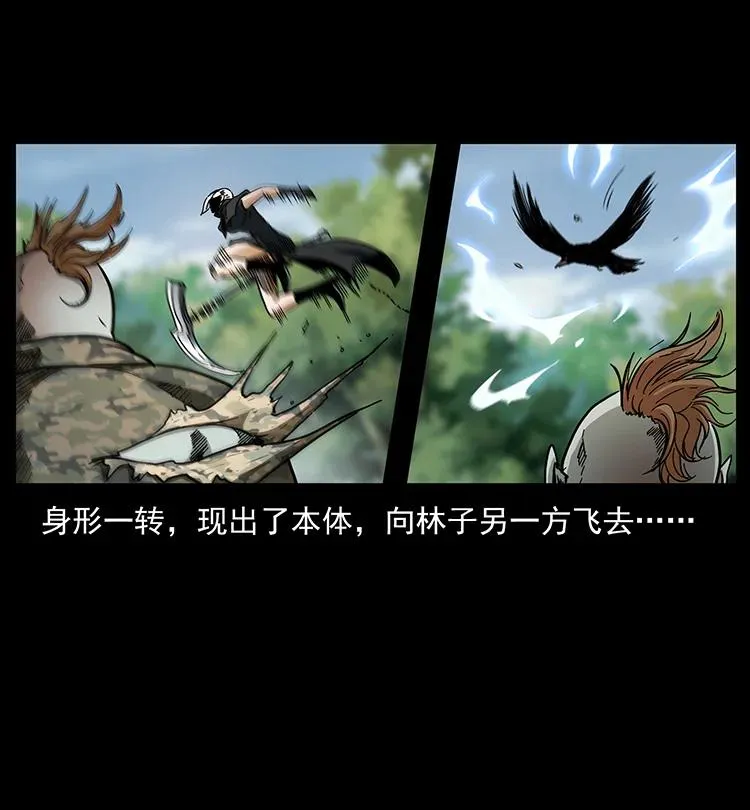 384 路障 第47页