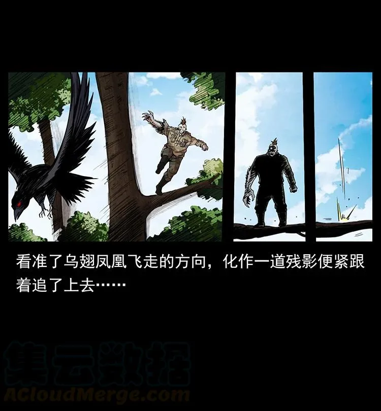 384 路障 第49页