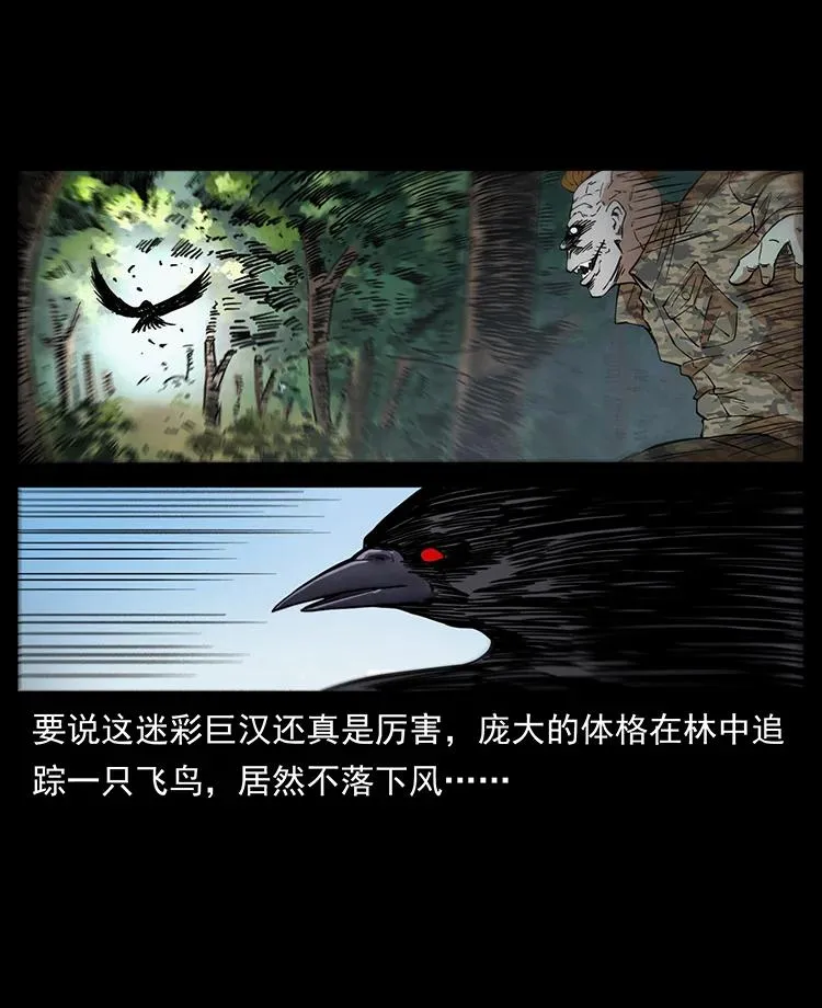 384 路障 第50页
