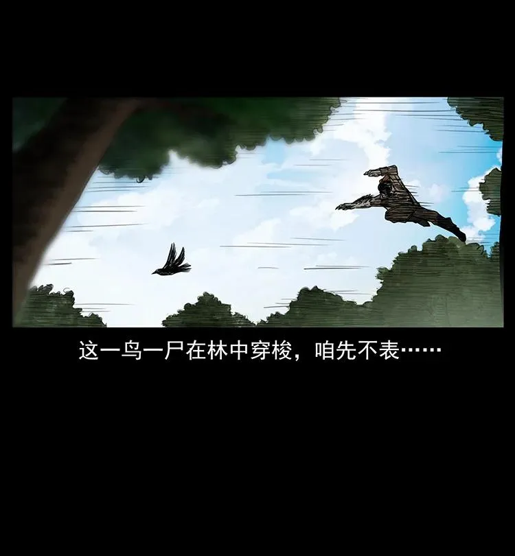 384 路障 第51页