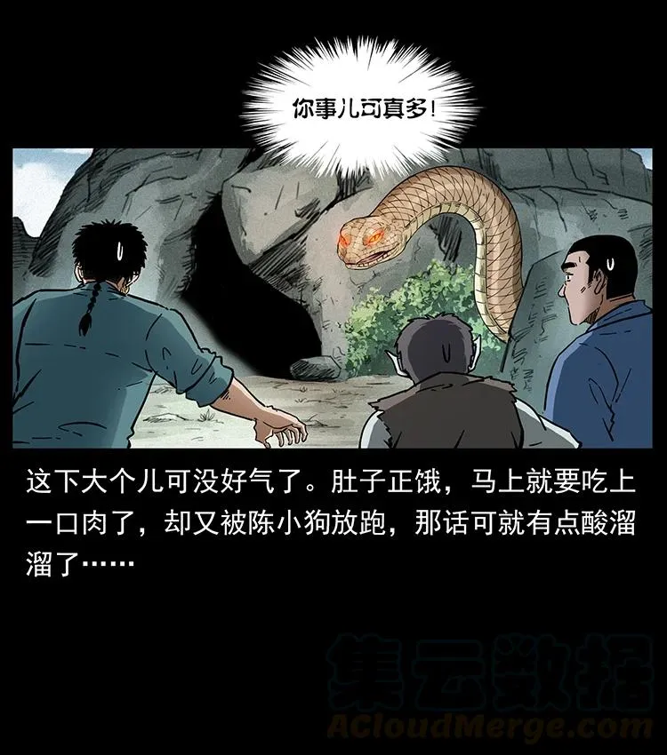 387 老大出手，天崩地裂！ 第13页