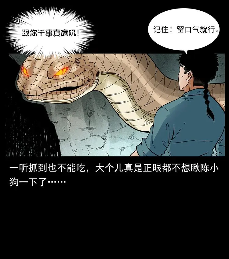 387 老大出手，天崩地裂！ 第15页