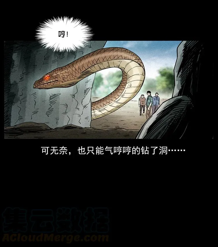 387 老大出手，天崩地裂！ 第16页