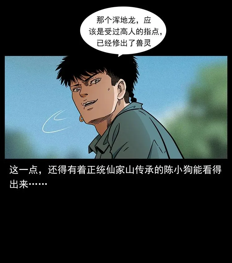 387 老大出手，天崩地裂！ 第20页