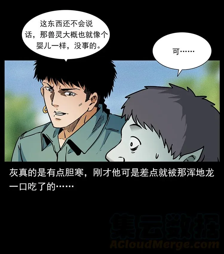 387 老大出手，天崩地裂！ 第31页