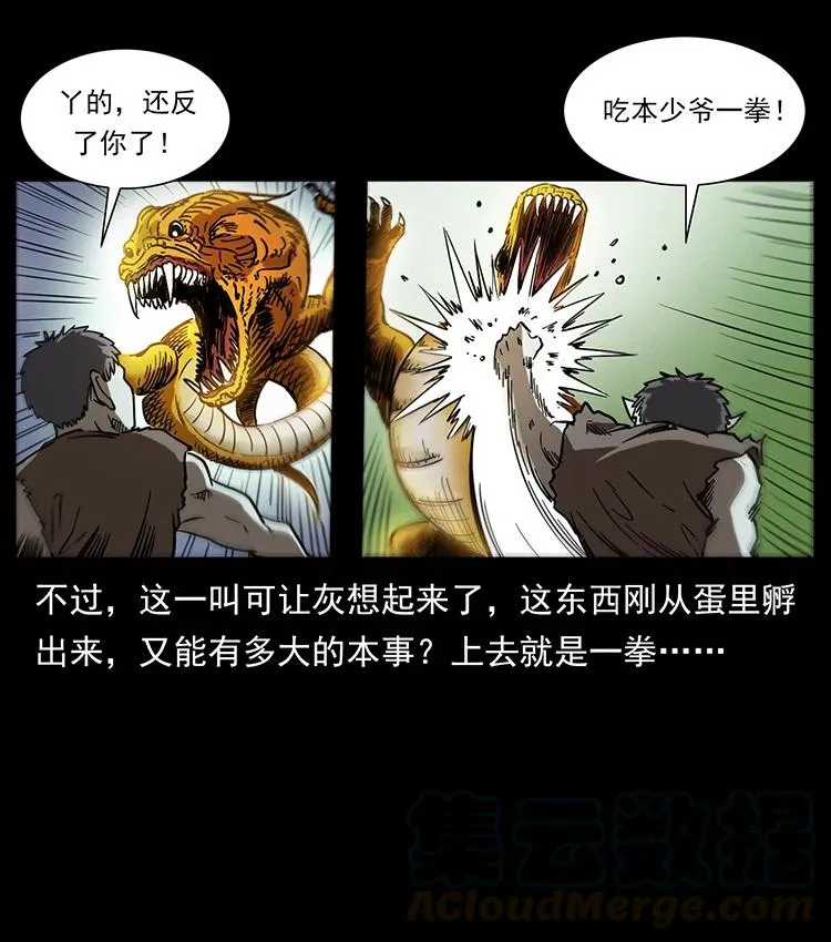 387 老大出手，天崩地裂！ 第46页