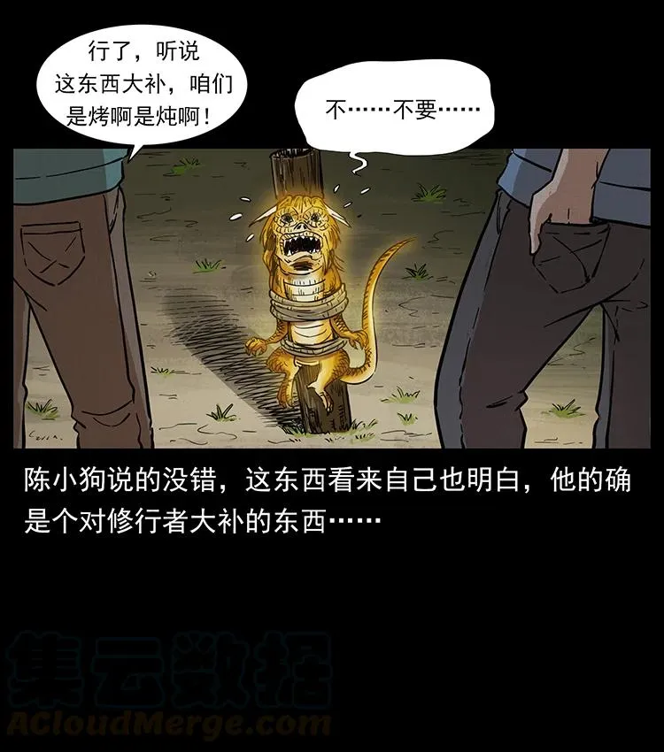 387 老大出手，天崩地裂！ 第52页