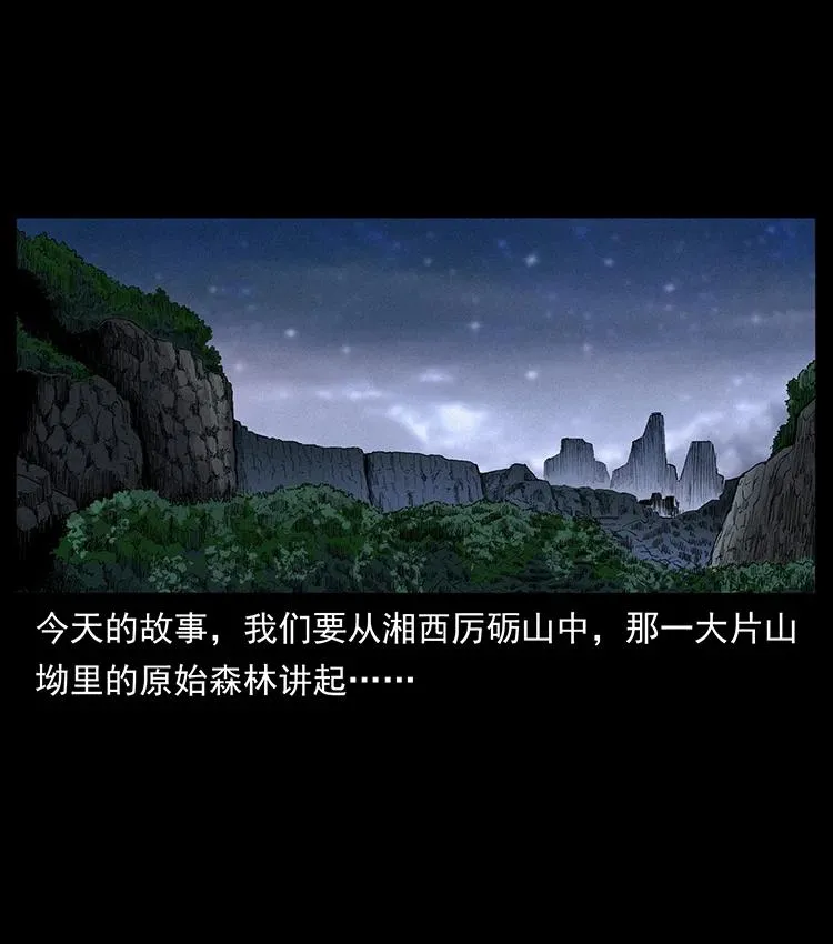 389 迷障 第2页