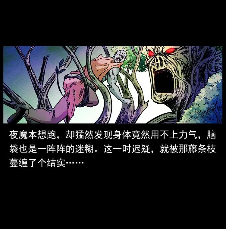 389 迷障 第51页