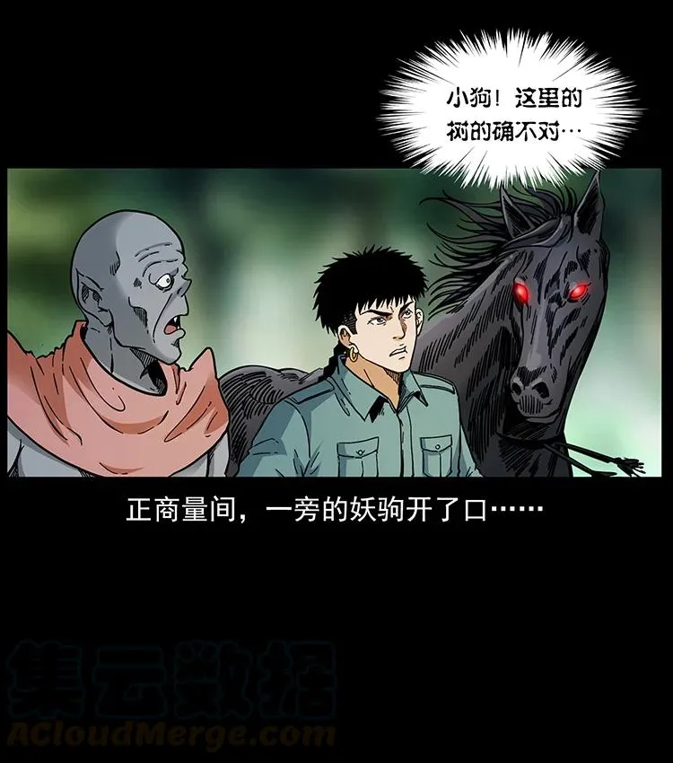 389 迷障 第64页