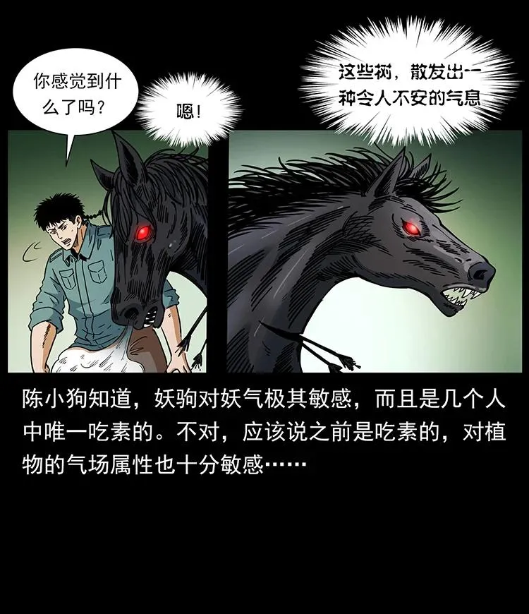 389 迷障 第65页