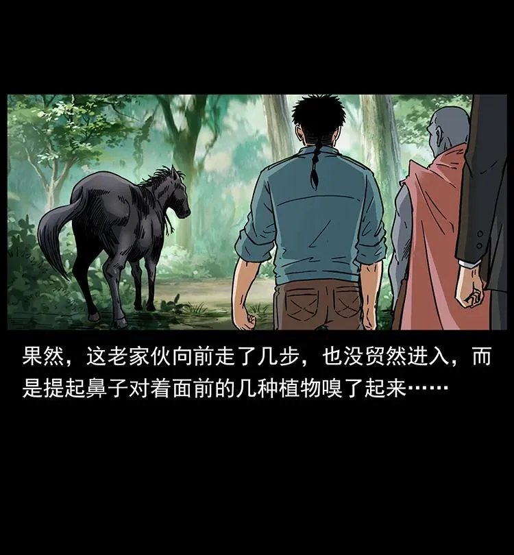 389 迷障 第66页
