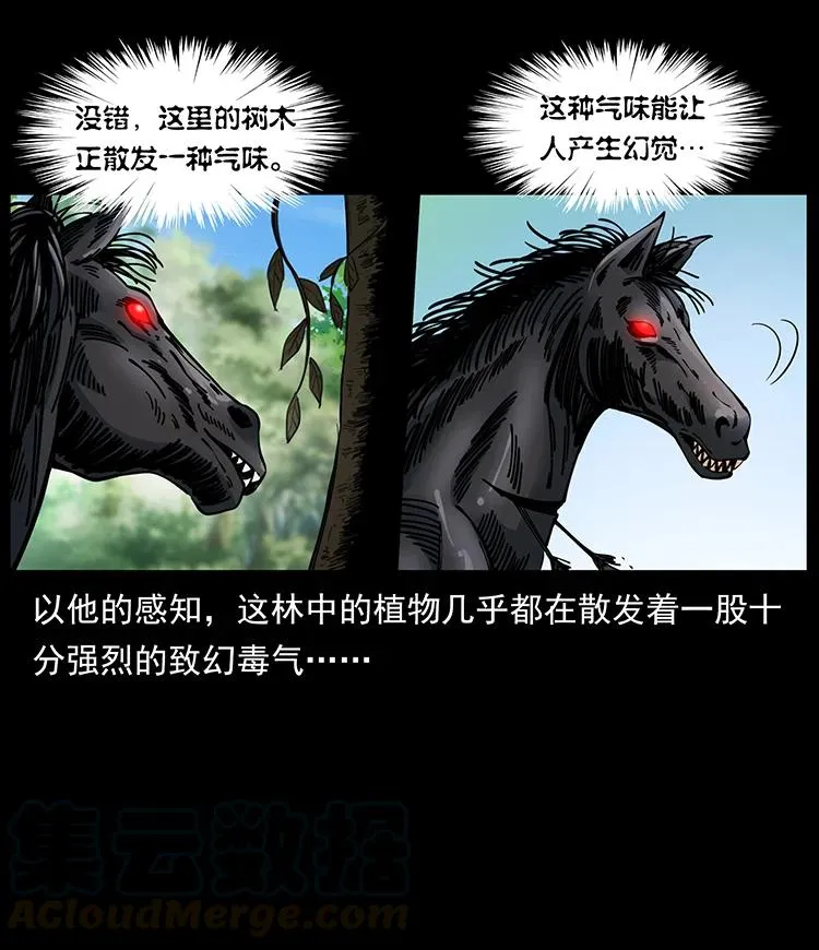 389 迷障 第67页