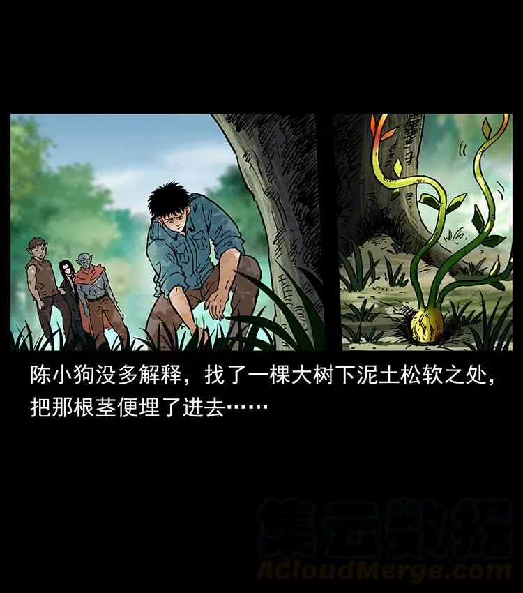 391 散仙 第28页