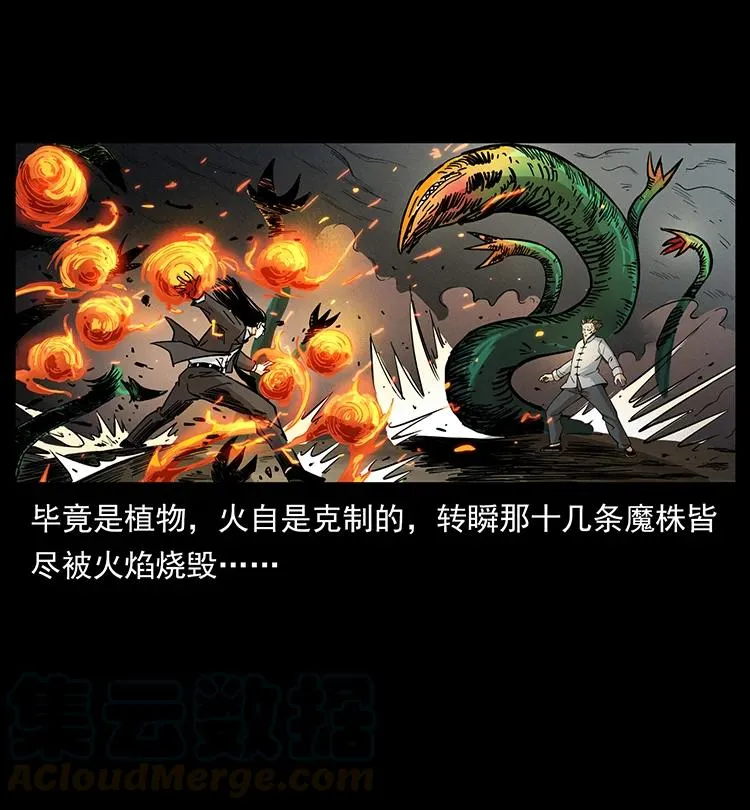 390 斩草除根 第31页