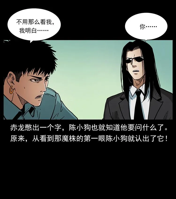 390 斩草除根 第57页