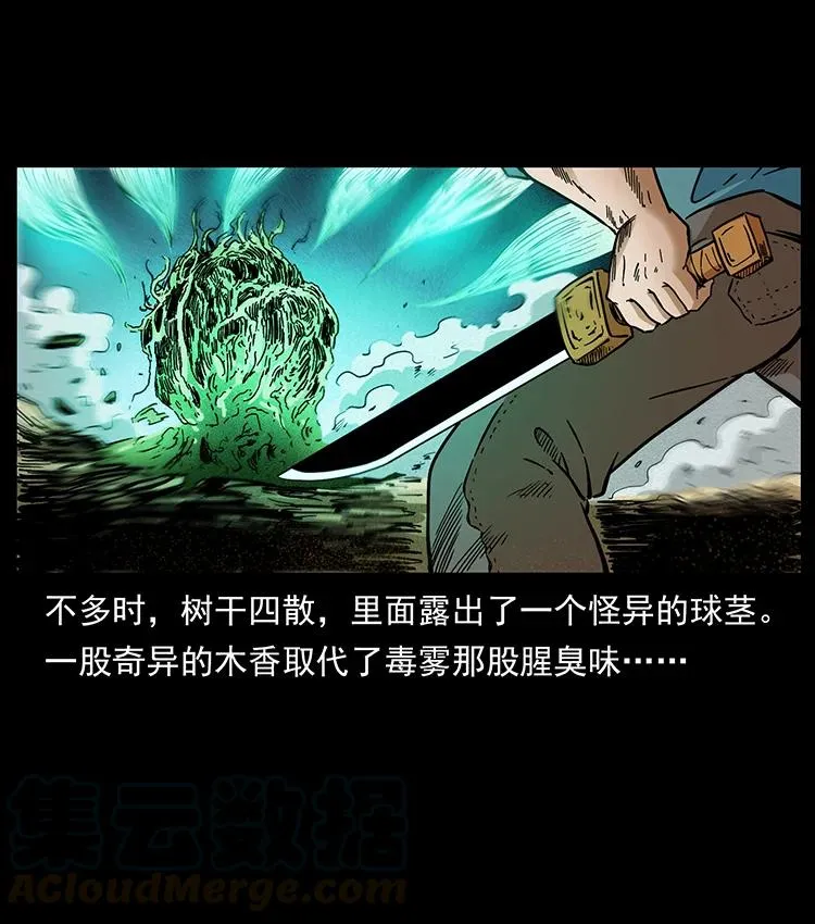 390 斩草除根 第76页