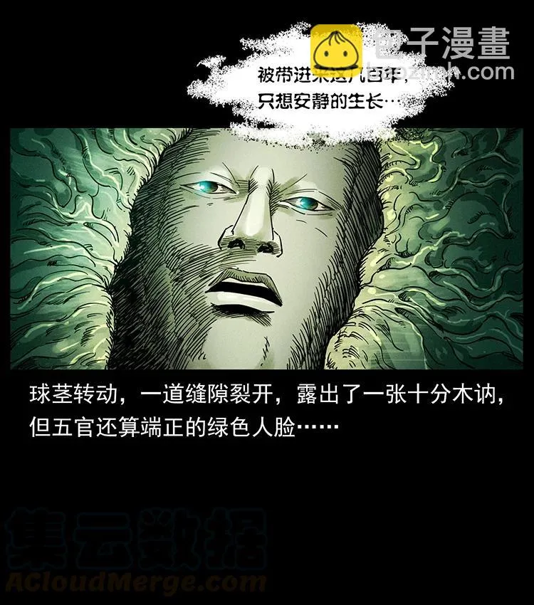390 斩草除根 第79页