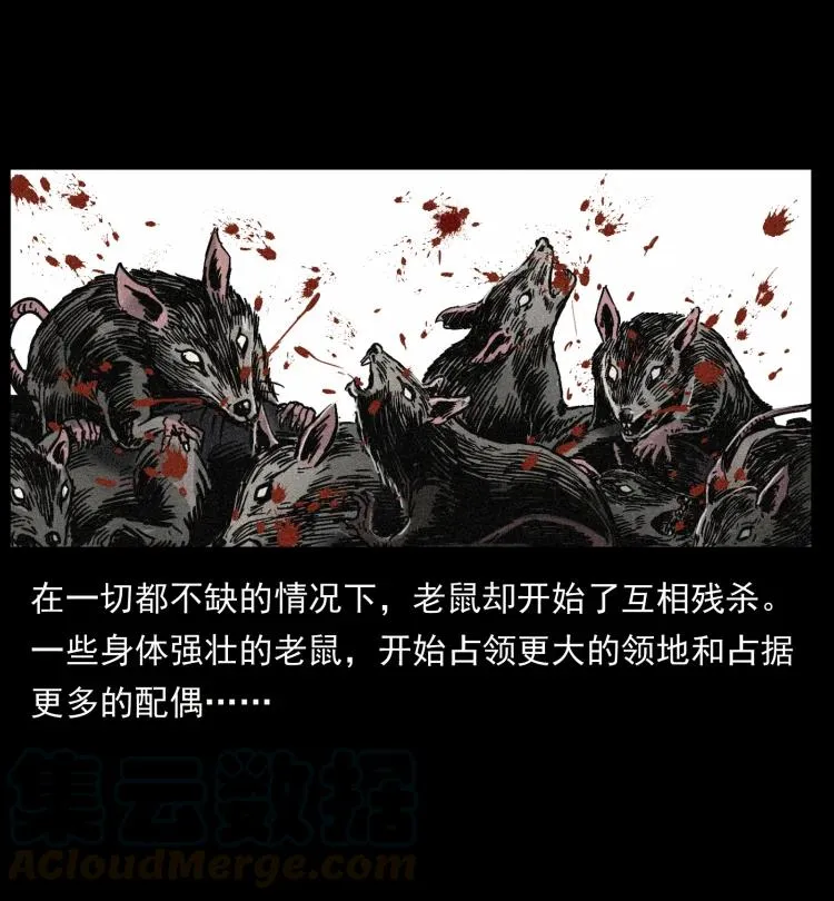 394 殇 第46页