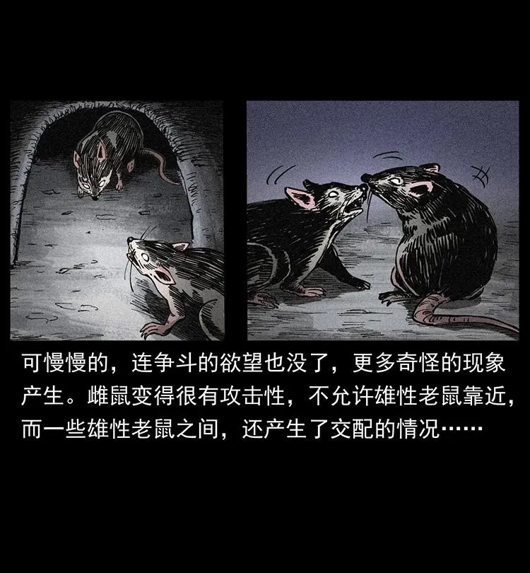 394 殇 第47页