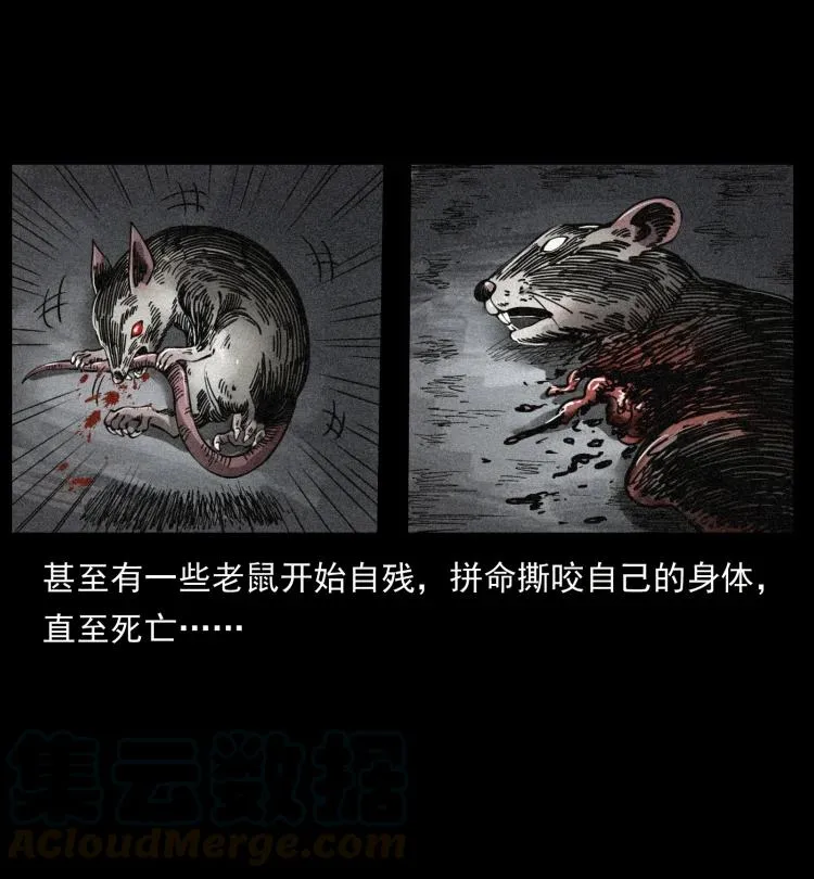 394 殇 第49页