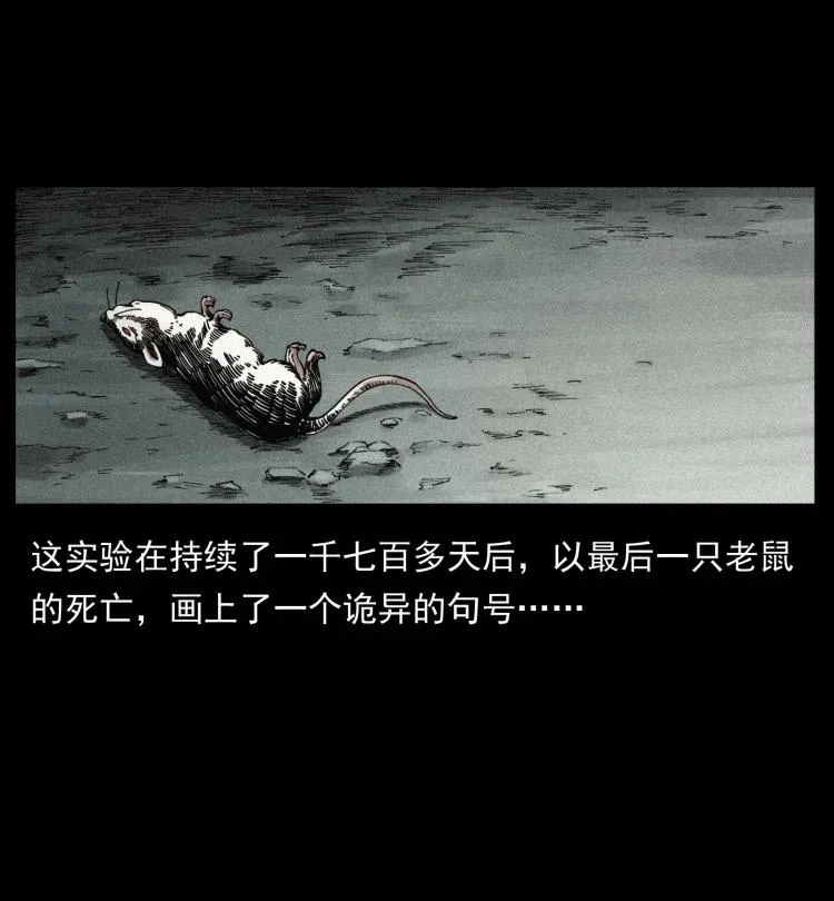 394 殇 第51页