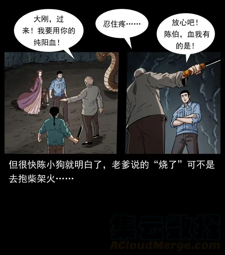 399 人之蛹 第67页