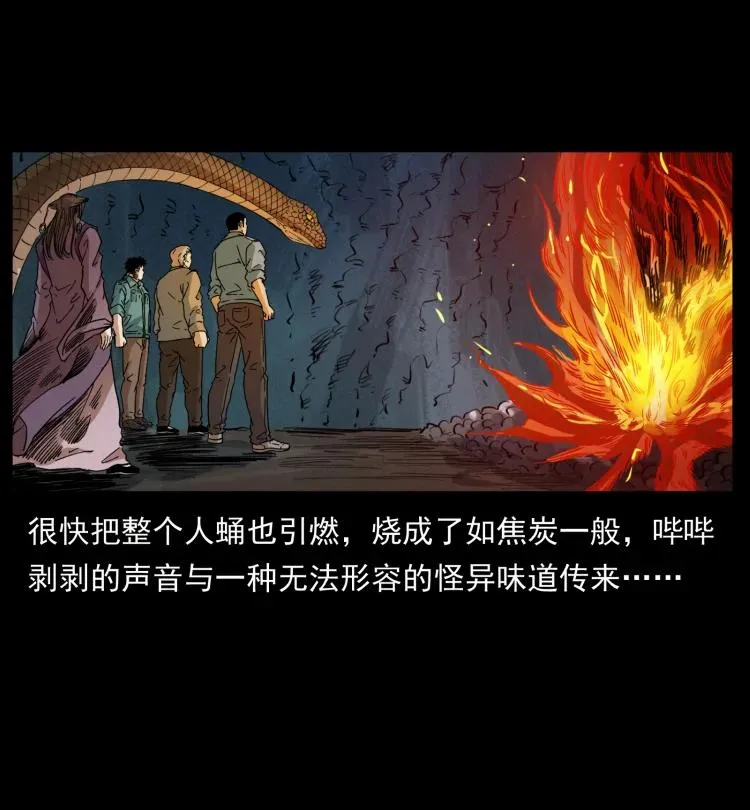 399 人之蛹 第77页