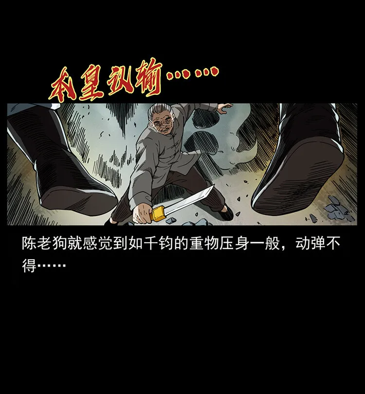 400 一花一世界，一叶一菩提 第26页