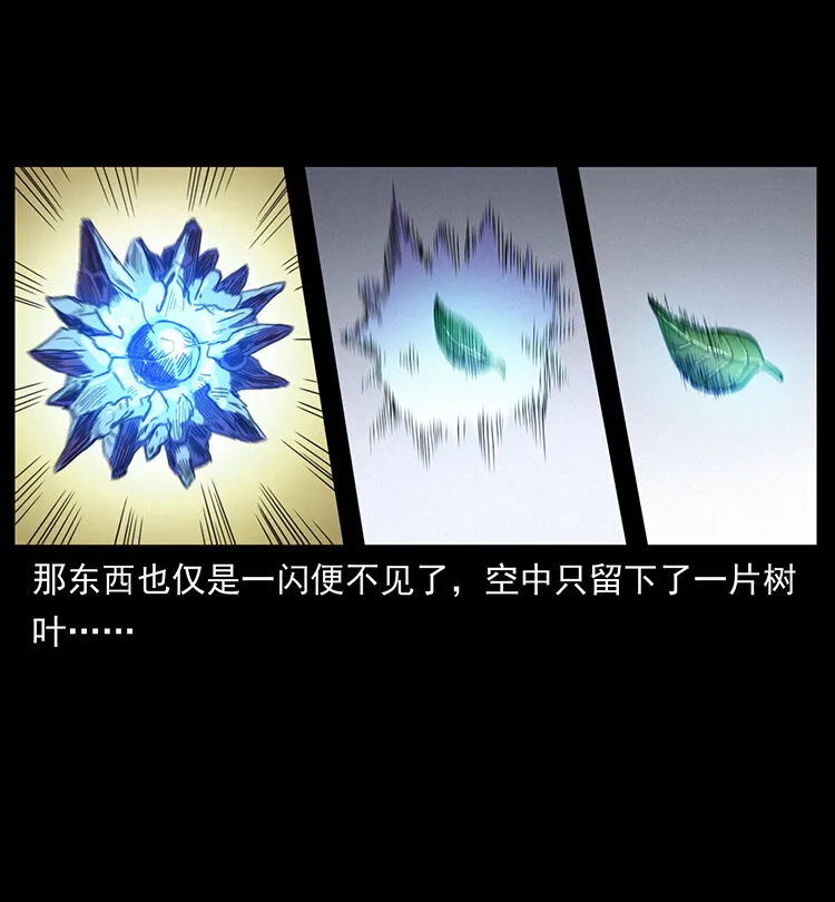 400 一花一世界，一叶一菩提 第76页