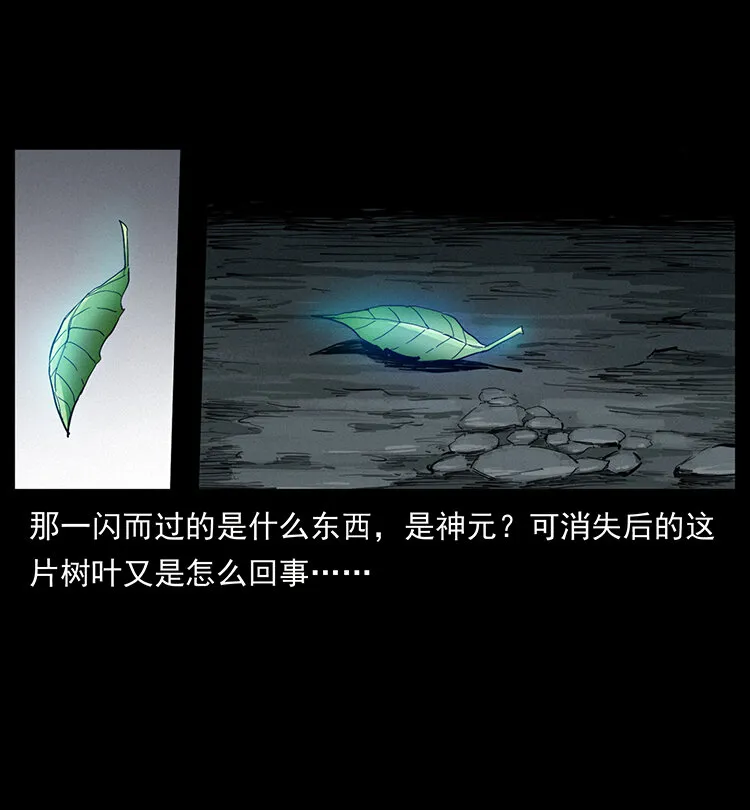400 一花一世界，一叶一菩提 第78页