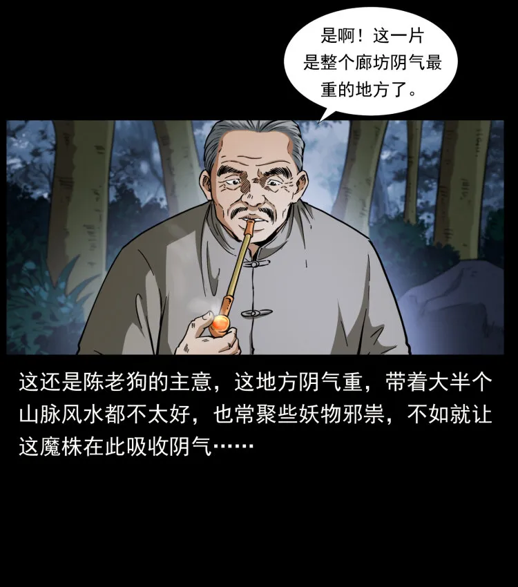405 离世 第6页