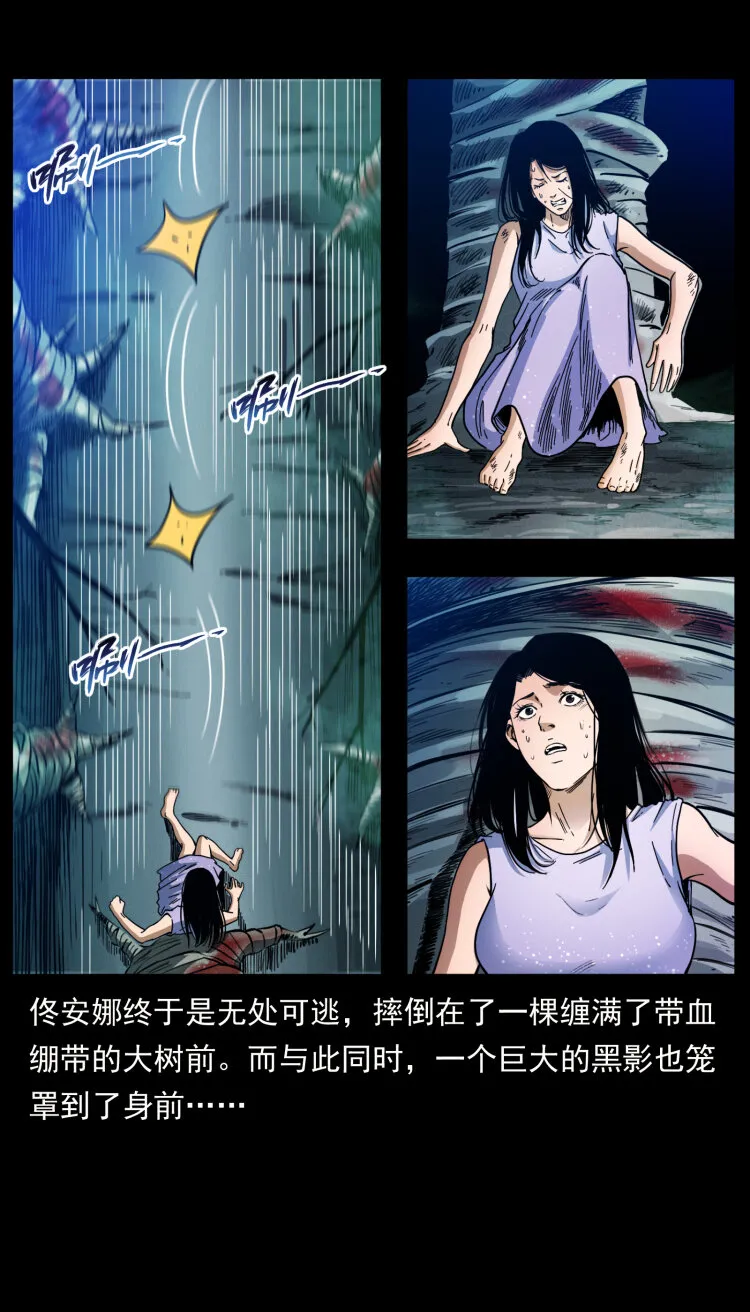 406 安稳日子 第53页