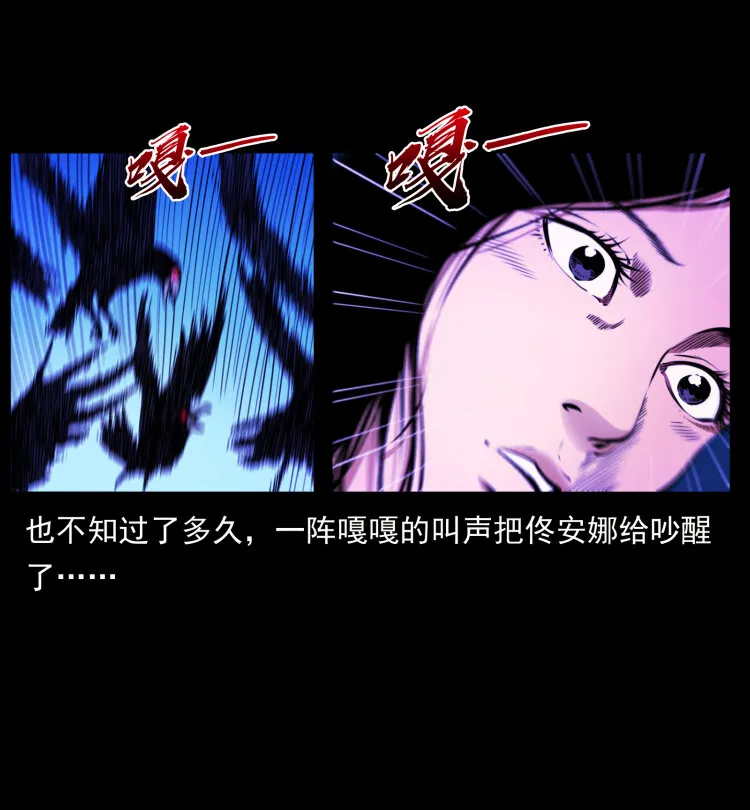 406 安稳日子 第71页