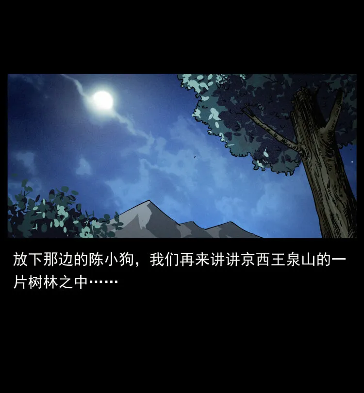 408 狙击安娜 第13页
