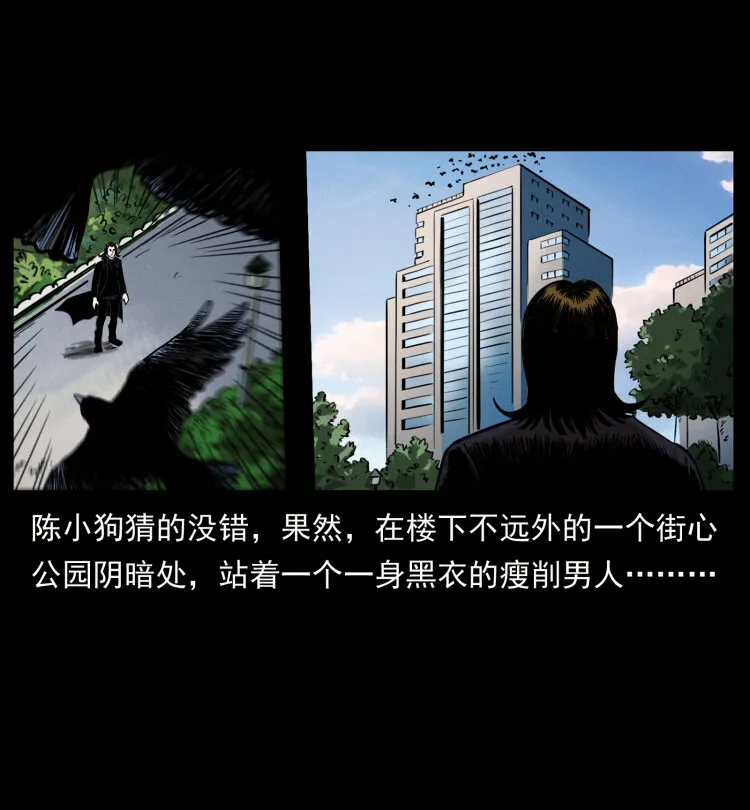 407 安稳日子？不存在的！ 第55页