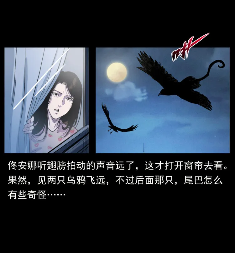 407 安稳日子？不存在的！ 第80页