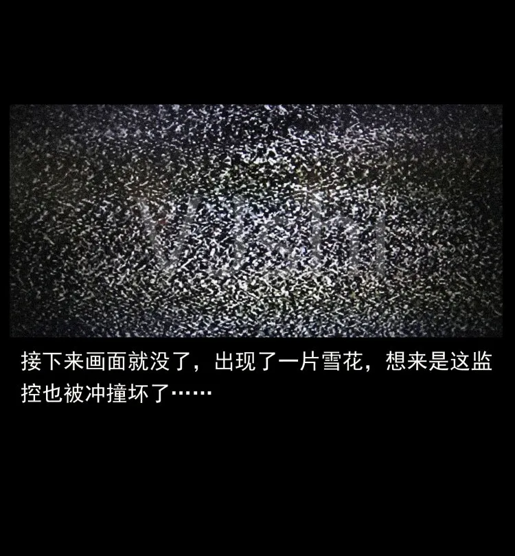 409 囚徒陈小狗 第75页