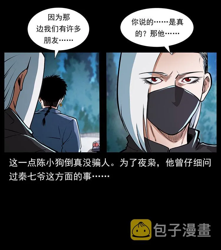 410 猎杀阴差 第29页