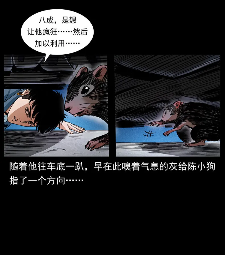 410 猎杀阴差 第32页