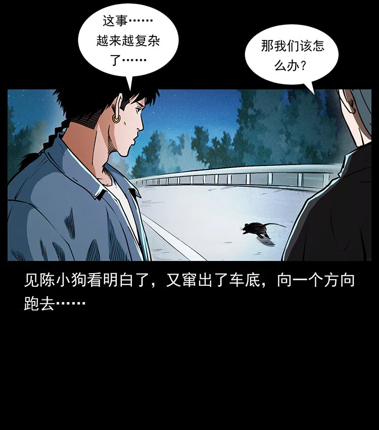 410 猎杀阴差 第33页