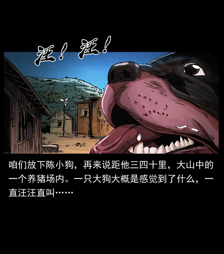 410 猎杀阴差 第36页