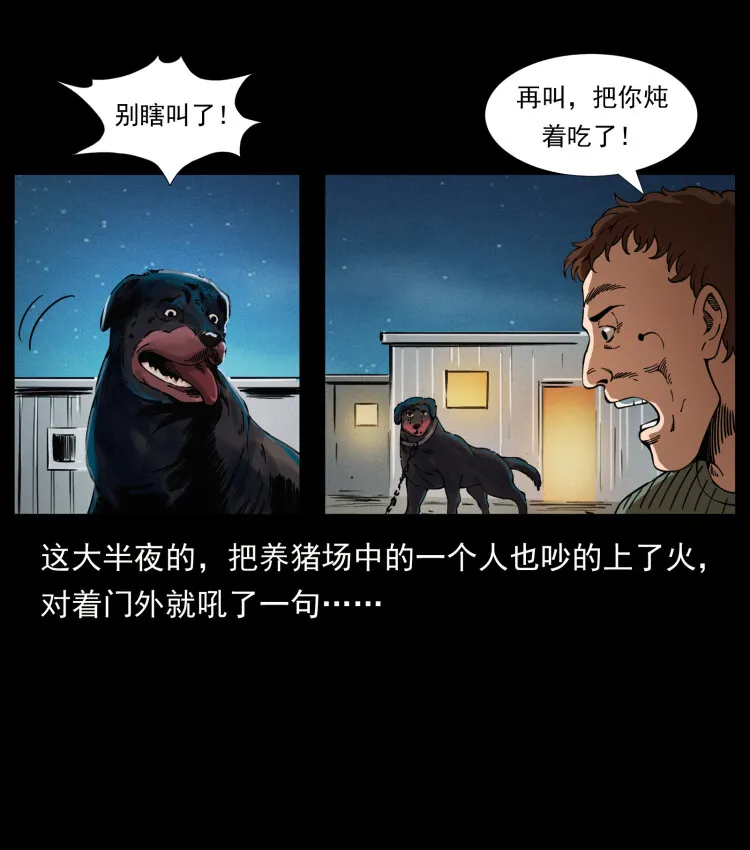 410 猎杀阴差 第37页