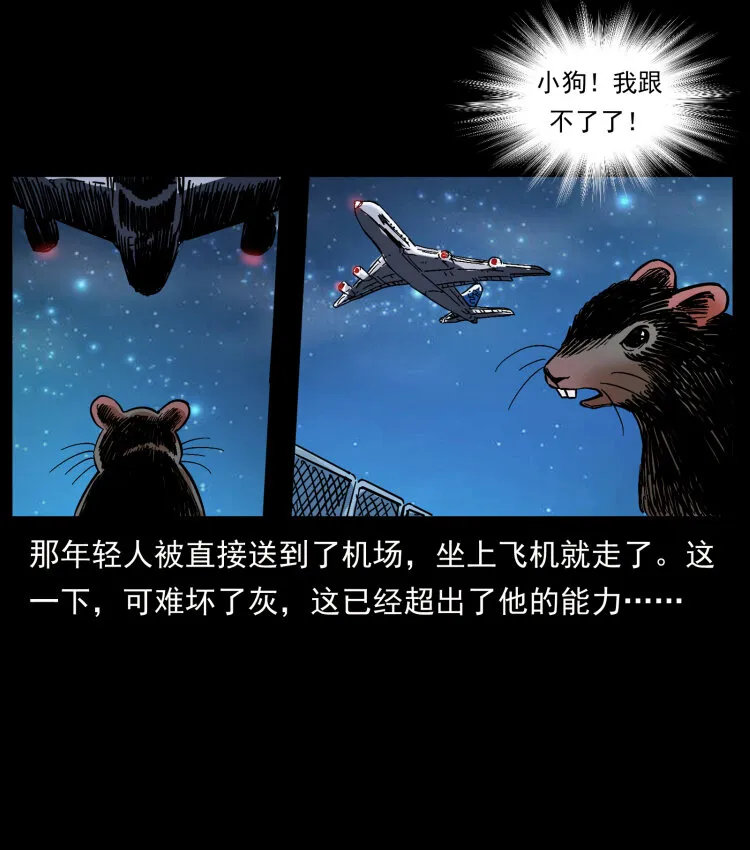 411 判官 第54页