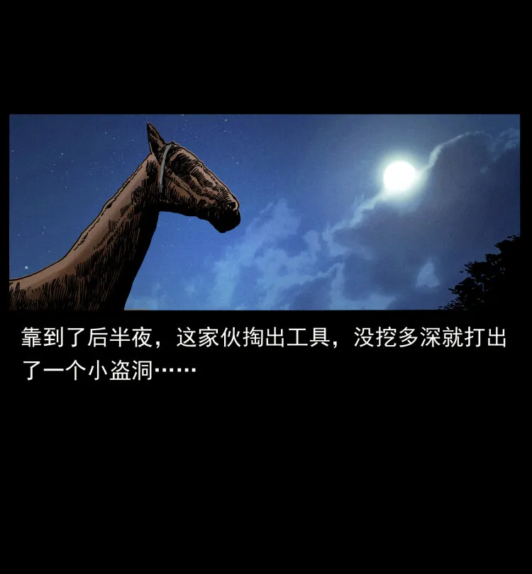 413 我想去盗墓 第51页