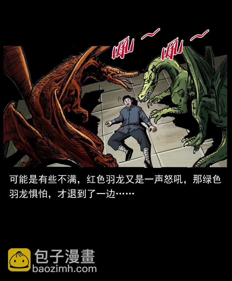413 我想去盗墓 第66页