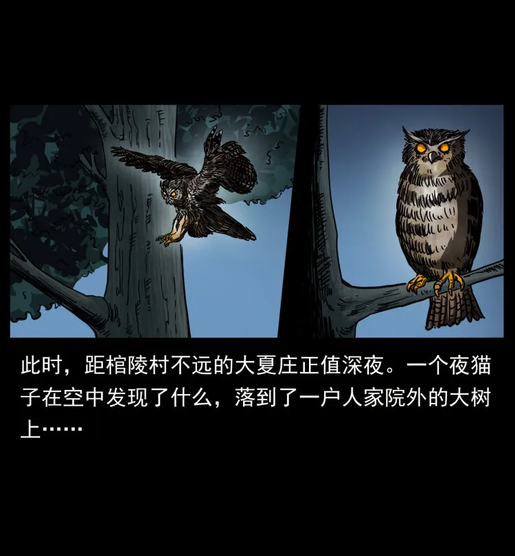 412 迷雾渐开 第49页